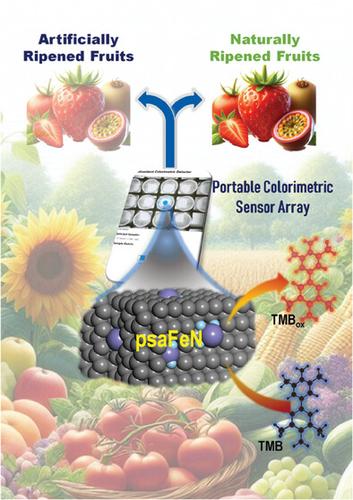 Portable Colorimetric Sensor Array Based on a Porous Single-Atom Fe Nanozyme with Different Surface Sites for Identifying Artificially Ripened Fruits