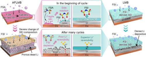 Unveiling degradation mechanisms of anode-free Li-metal batteries