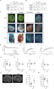 Missense mutation in the activation segment of the kinase CK2 models Okur-Chung neurodevelopmental disorder and alters the hippocampal glutamatergic synapse.