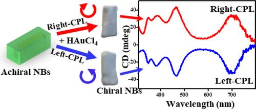 Chiral Symmetry Breaking in Colloidal Metal Nanoparticle Solutions by Circularly Polarized Light