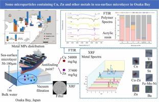 Co-occurrence of microplastics and microparticles containing Cu and Zn and other heavy metals in sea-surface microlayer in Osaka Bay, Japan