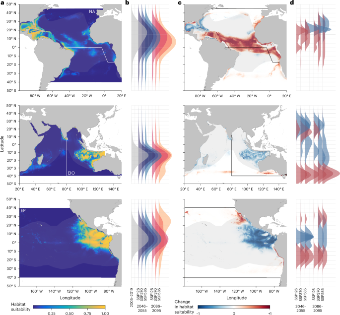 Climate-driven global redistribution of an ocean giant predicts increased threat from shipping