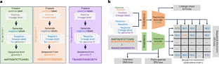 A multi-modal deep language model for contaminant removal from metagenome-assembled genomes