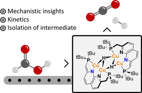 Mechanistic Investigation into Copper(I) Hydride Catalyzed Formic Acid Dehydrogenation