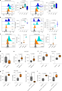 Histone lactylation drives CD8+ T cell metabolism and function