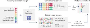 A framework for expanding discovery efforts with compressed phenotypic screens