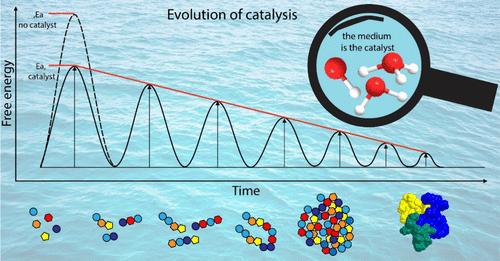 From Catalysis of Evolution to Evolution of Catalysis.