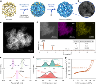 Mesoporous structured MoS2 as an electron transport layer for efficient and stable perovskite solar cells