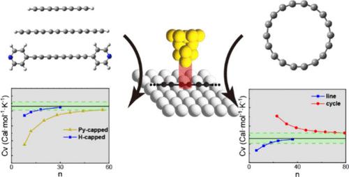 Extracting Thermodynamic Properties of Carbyne from Tip-Enhanced Raman Scattering Images