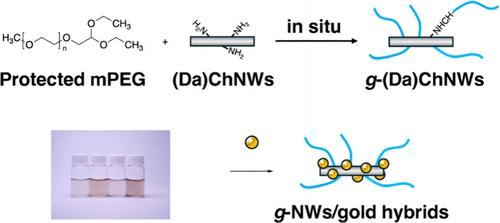 Chitin Nanowhisker/Gold Nanocluster Hybrids with an Excellent Dispersion Stability via Poly(ethylene glycol) Grafting.