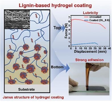 Lignin-Based Ultrathin Hydrogel Coatings with Strong Substrate Adhesion Enabled by Hydrophobic Association