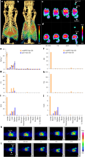 Rapid precision targeting of nanoparticles to lung via caveolae pumping system in endothelium