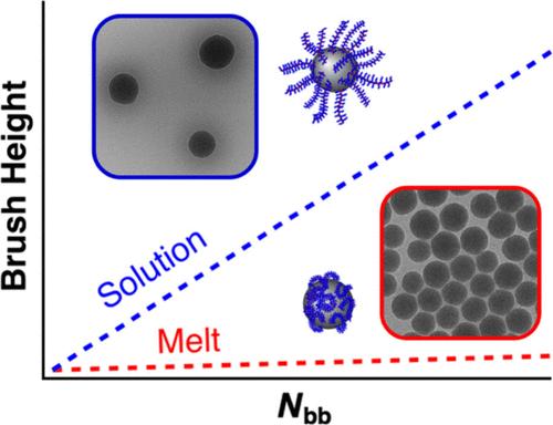From Fully Stretched to Collapsed Chains: Bottlebrush Polymer Grafted Particles