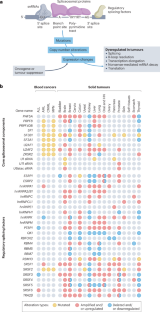 Steering research on mRNA splicing in cancer towards clinical translation