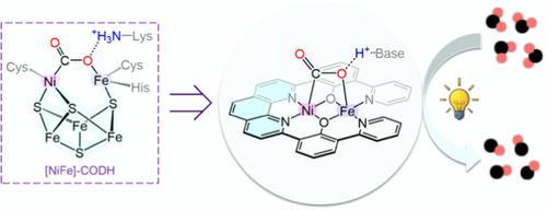 Heterobimetallic NiFe Complex for Photocatalytic CO2 Reduction: United Efforts of NiFe Dual Sites