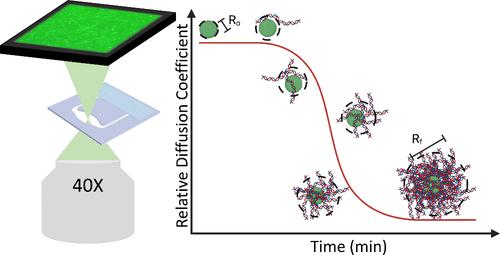 Real-Time Visualization of HIV-1 RNA Detection Using Loop-Mediated Isothermal Amplification-Enabled Particle Diffusometry