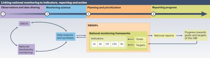 Progress in developing and operationalizing the Monitoring Framework of the Global Biodiversity Framework