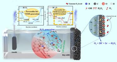 Fabrication of Boron modified bi-functional air diffusion electrode for ciprofloxacin Degradation: In-situ H2O2 generation and self-activation