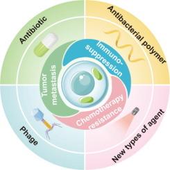 Progress of tumor-resident intracellular bacteria for cancer therapy