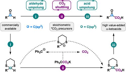 Integrating Umpolung and CO2 Shuttling Strategies for the Synthesis of 12C- and 13C-α-Ketoacids from Aldehydes