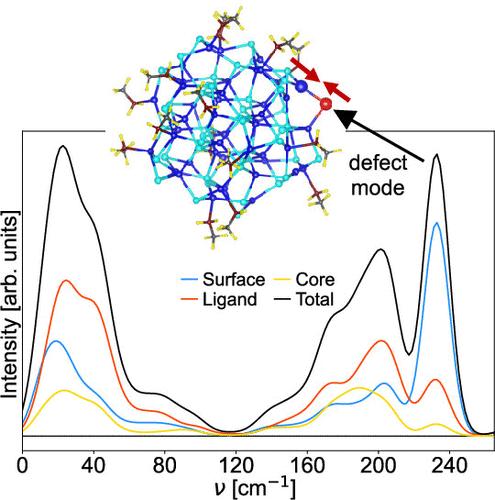 Origin of the High-Frequency Shoulder in the Raman Spectra of CdSe Quantum Dots