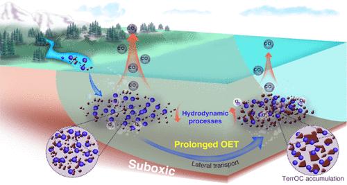 Influence of Oxygen Exposure on Lignin Preservation during Sediment Lateral Transport in the Ocean: Insights from Molecular Dynamics Simulations