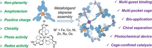 Activating Metal–Organic Cages by Incorporating Functional M(ImPhen)3 Metalloligands: From Structural Design to Applications