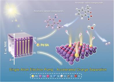 Single-Atom Electron Pumps Over Transition Metal Chalcogenides Boosting Photocatalysis