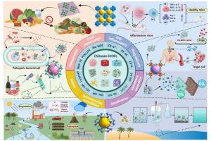 Exploring the synthesis, properties, and potential of chitosan-functionalized metal-organic frameworks in emerging applications