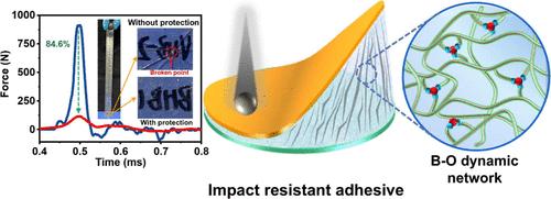 Impact-Resistant Adhesive Based on the Shear-Stiffening Effect via Dynamic B–O Linkages