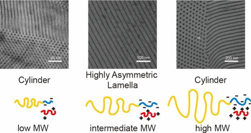 Highly Asymmetric Lamellar Structure in Blends of Polystyrene-b-Poly(acrylic acid) Block Copolymers and Poly(4-vinylpyridine) Homopolymers Facilitated by Polyelectrolyte Complexation