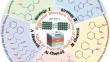 Molecular Structure Tailoring of Organic Spacers for High-Performance Ruddlesden–Popper Perovskite Solar Cells