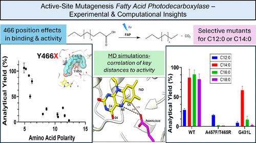 Active-Site Mutagenesis of Fatty Acid Photodecarboxylase: Experimental and Computational Insight into Substrate Chain-Length Specificity