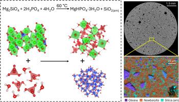 Setting reaction of a olivine-based Mg-phosphate cement