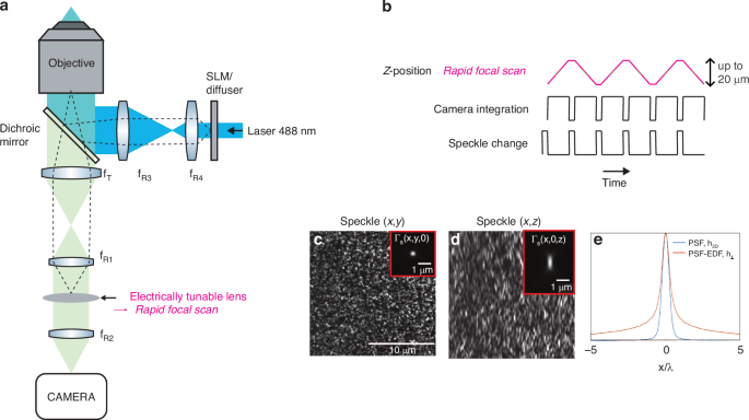 Extended-depth of field random illumination microscopy, EDF-RIM, provides super-resolved projective imaging.