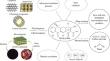 Remediation of tetracycline pollution using microplastics, green materials, membranes and sonocatalysts: a review