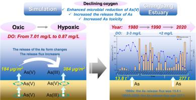 Hypoxia exacerbate the marine ecological risk of arsenic: by stimulating its migration and release at the sediment-water interface