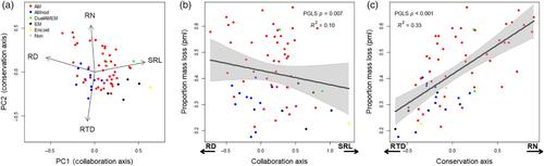 Traits associated with the conservation gradient are the strongest predictors of early-stage fine root decomposition rates