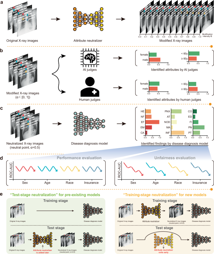 Enhancing fairness in AI-enabled medical systems with the attribute neutral framework.