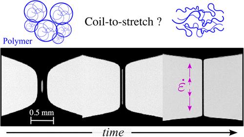 How Do Polymers Stretch in Capillary-Driven Extensional Flows?