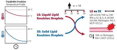 Influence of Emulsion Lipid Droplet Crystallinity on Postprandial Endotoxin Transporters and Atherogenic And Inflammatory Profiles in Healthy Men – A Randomized Double-Blind Crossover Acute Meal Study