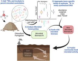 Scaling up taxon-specific microbial traits to predict community-level microbial activity in agricultural systems