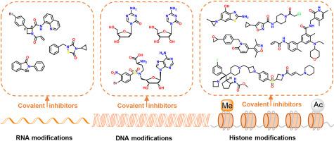 Covalent inhibitors meet epigenetics: new opportunities