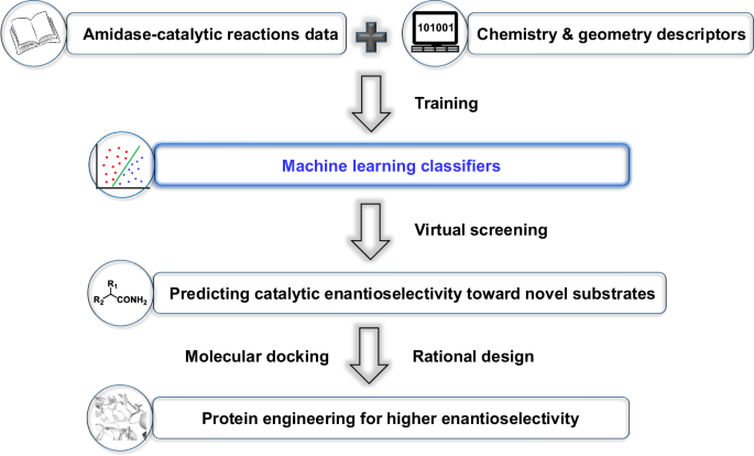 Machine learning-assisted amidase-catalytic enantioselectivity prediction and rational design of variants for improving enantioselectivity