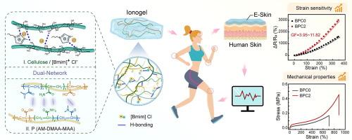 Cellulose enhanced highly sensitive and durable dual-network ionogel sensor for human motion monitoring