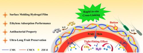 Surface Molding Hydrogel Film Initiated by ZIF-8 with Ethylene Adsorption Performance for Preserving Perishable Fruits