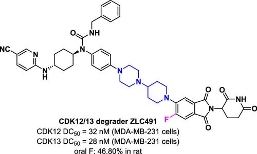 Discovery of ZLC491 as a Potent, Selective, and Orally Bioavailable CDK12/13 PROTAC Degrader