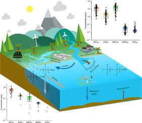 Regulation of terrestrial input and ocean processes on the occurrence and transport of traditional and emerging per- and polyfluoroalkyl substances in the inner shelf of the East China Sea