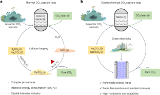 Electrochemical regeneration of high-purity CO2 from (bi)carbonates in a porous solid electrolyte reactor for efficient carbon capture