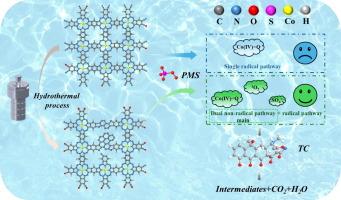 Defect engineering boosting PMS activation activity on cobalt polyphthalocyanine: Promoting Co(IV)=O formation and enhancing 1O2 selectivity